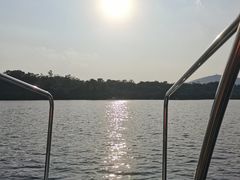 -佛手湖郊野公园