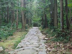 -冶父山国家森林公园