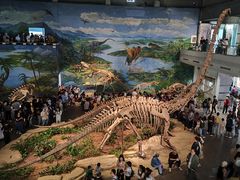 -自贡恐龙博物馆