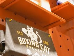 -Boxing Cat Brewery拳击猫精酿啤酒馆(永福店)