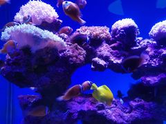 -上海海昌海洋公园