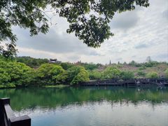 -白马涧龙池景区