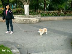 -怡海公园(桂城街道)