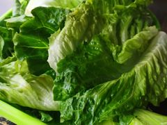 -伟记牛肉(金鸿公路店)