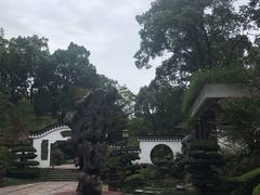 -南山植物园