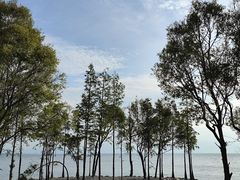 -大理洱海