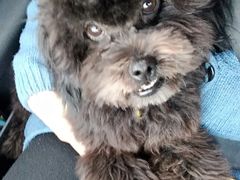 -佳百利宠物(荣乐中路115弄小区店)