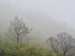 -江南天池