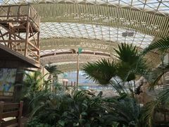 -杭州开元森泊度假乐园