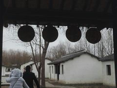 -溱湖国家湿地公园