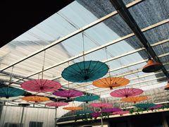 大堂-渔娘蟹庄(阳澄湖莲花岛店)