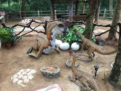 -海南热带野生动植物园