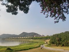 -风云岭森林公园