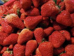 -仲雅水果大卖场(仲雅苑店)