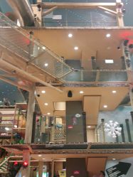 -卡通尼·Safari非洲探索乐园·生日会(金桥国际商业广场店)