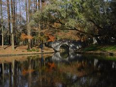 -上海共青森林公园