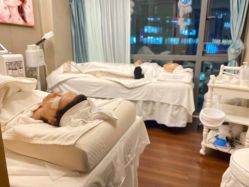 -哈颜科技轻美·