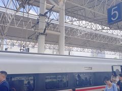 -合肥火车站(地铁站)