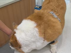 -联合动物医院(光谷诊疗中心)