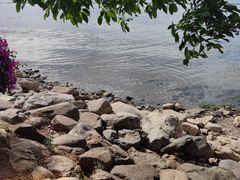 -大理洱海