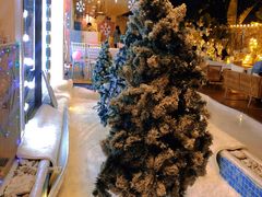 -天空花园餐吧·生日·团建(南山店)