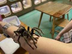 -藦茜花园宠物主题亲子互动体验馆(国顺东路店)
