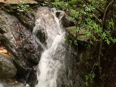 -南丹山森林王国