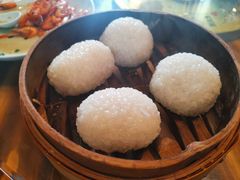 茨毛圆子-双塔老饭店