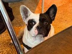 -Burger Bar 山沐西餐吧(钟村店)