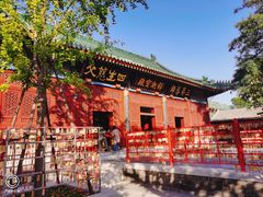 -天津大悲禅院