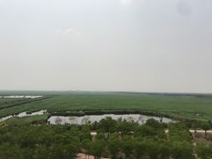 -南大港湿地风景区