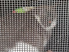 -创凡宠物医院·骨专科  猫科中心(西乡分院)