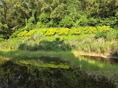 -深圳国际园林花卉博览园