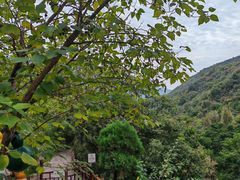 -云丘山景区