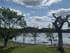 -羊山湖公园