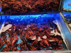 -SEA西雅图海鲜自助餐厅(海乐世界店)
