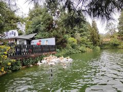 -云南野生动物园