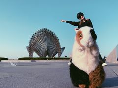 -南汇嘴观海公园