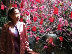 -汇景花园酒家(基立下道店)