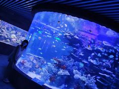 -左海海底世界
