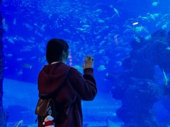 -成都浩海立方海洋公园