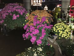 -人民广场