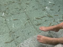 -碧水湾温泉