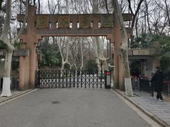 -灵谷景区