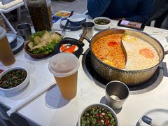 -濠七糟粕醋•海南酸汤火锅(中关村店)
