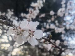 -青岛市江苏路基督教堂
