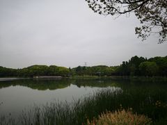 -新洲生态园