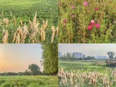 -汉长安城未央宫国家考古遗址公园