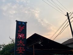 -y牌太安鱼