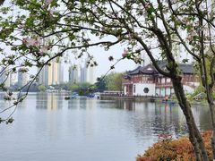 -莫愁湖公园